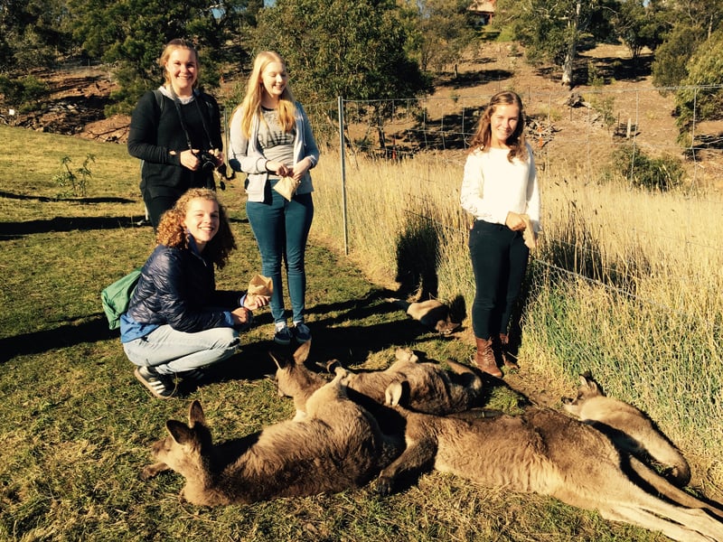 AustraliaStudyAbroad